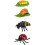 Cycle de vie d'un Ladby Bug 1