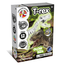 Kit de fouille de fossiles T-Rex pour enfants de +6 ans - Kit de fouille de fossiles de dinosaures + fossiles
