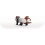 42736 Vie sauvage 5