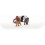 42736 Vie sauvage 3