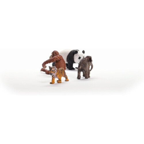 42736 Vie sauvage 2