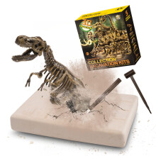 Kit de fouille de dinosaures, Kit de fouille de fossiles de dinosaures, jouets de dinosaures pour garçons, jouets