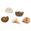 Kit de fouille de fossiles SC206 2