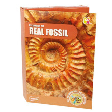 Kit de fouille de fossiles SC206