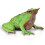 CollectA La grenouille de Darwin 1