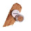 Starshow Shadow Pot (001 Glace) 1