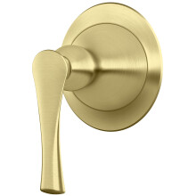 Pfister 016-RH1BG RHEN DEVERTER TRIM ORO SPUCCO