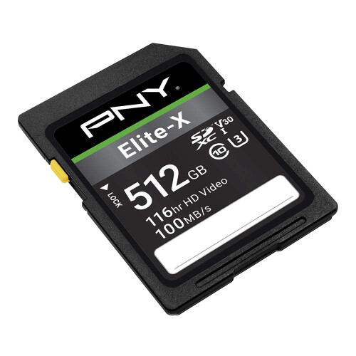 Elite X Classe 10 U3 da 512 GB 2
