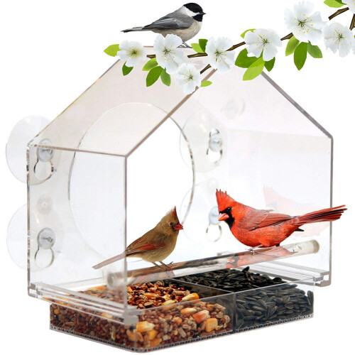 Large wall Plastic birdcage Transparent small pet 2