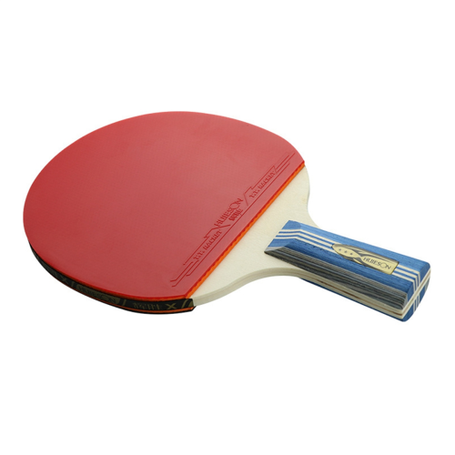 Double-Sided Anti-Glue Novice Table Tennis Racket A