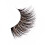 Ardell A imagem 2