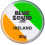 Blue Squid 1