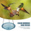 Bee Feeder ,Hanging Watering Station 6