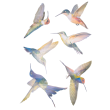 6 Pcs Large Size Bird Clings Anti-Collision Window