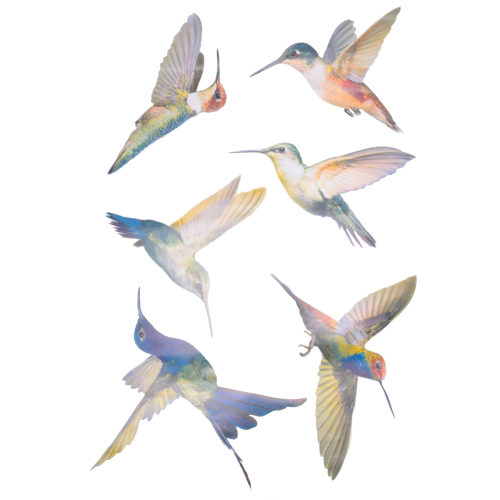 6 Pcs Large Size Bird Clings Anti-Collision Window 1