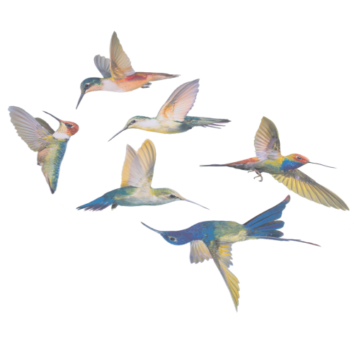 6 Pcs Large Size Bird Clings Anti-Collision Window 2