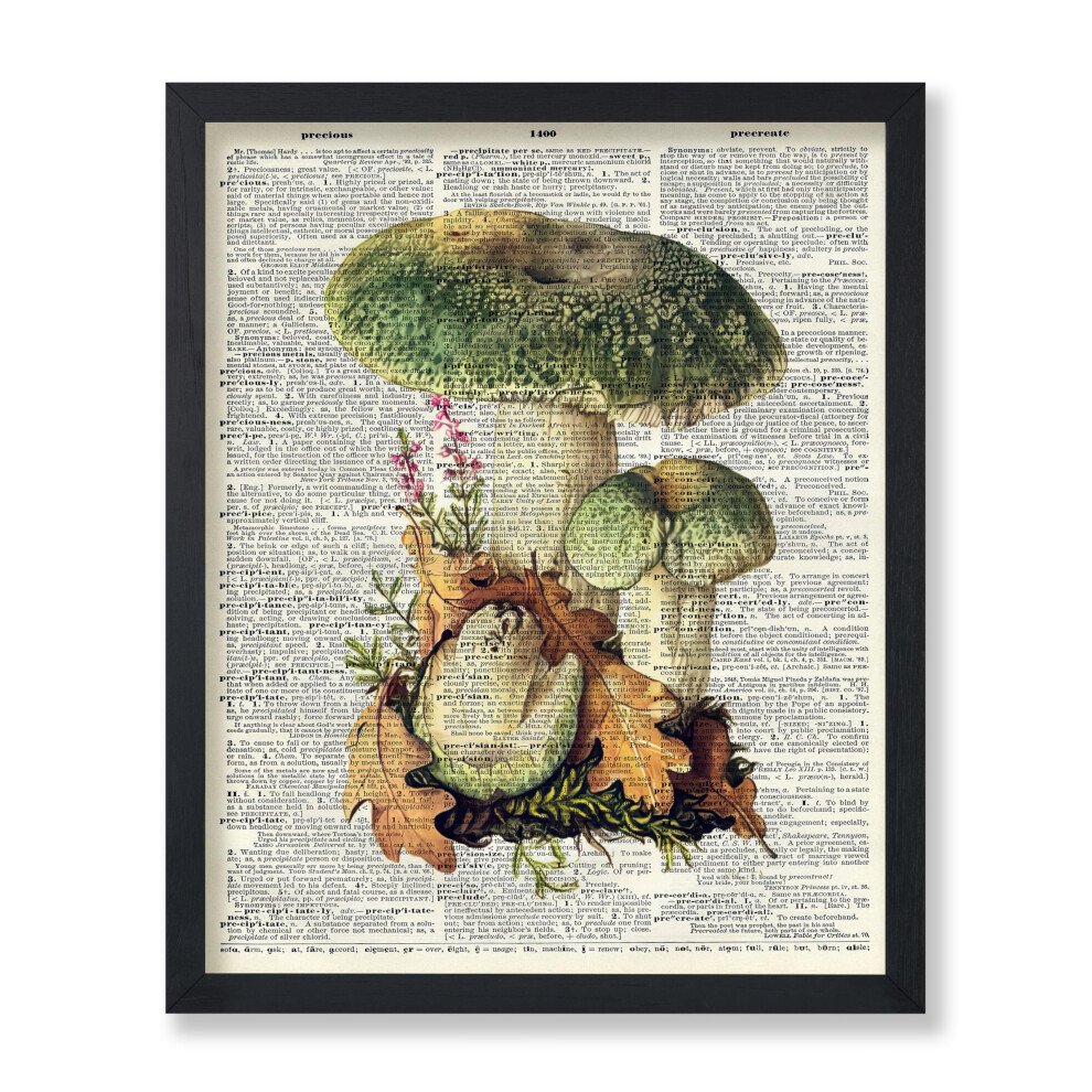 Poster Master - Affiche de dictionnaire vintage - Impression botanique r   tro - Cadeau pour jardinier - Page de livre - Champignon vert - D   corati