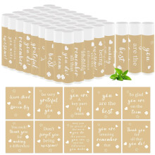 50 PCS Appreciation Gifts Lip Balms Bulk Thank You Staff Gifts Lips Care Products for Team Coworkers Teacher Party Volunteers Employee Leaving Farewe