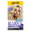 Got2b Bleach It Hi-Lift Platinum 1