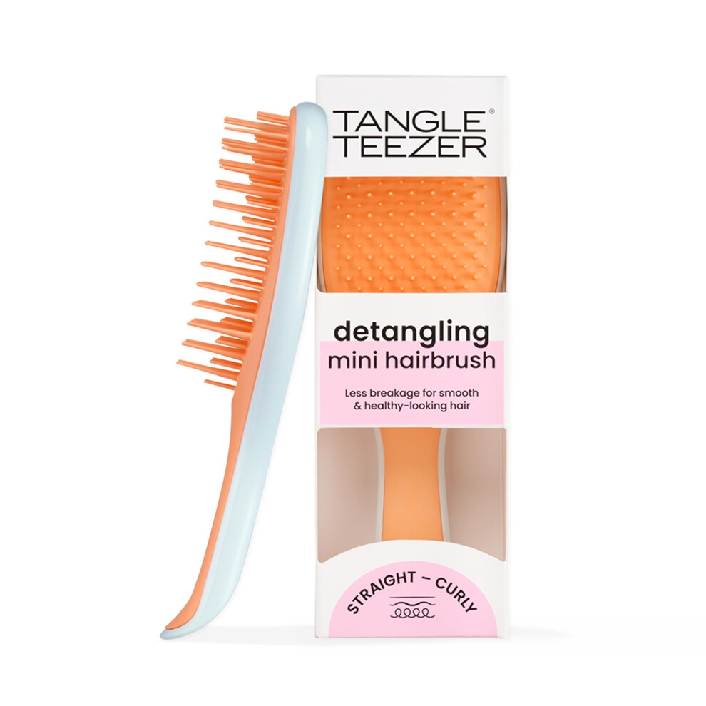 Tangle Teezer Ultimate Detangler Hairbrush  Eliminates Knots & Reduces Breakage  Mini Hair Brush for Travel  Small Hands & All Hair Types  Ice Blue &