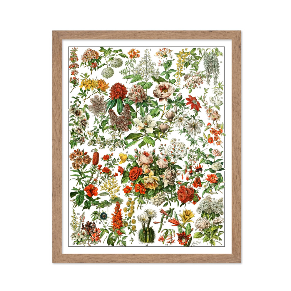 Poster Master Vintage Poster - Dessin R Tro - Cadeau Pour Artiste Jardinier - Jardin Botanique Floral Fleurs Fran Aises - D Coration Murale Pour-image