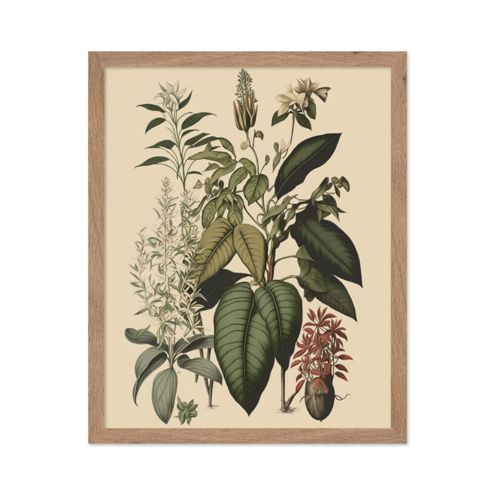 Poster Master - Affiche botanique vintage - Imprimé floral rétro - Cadeau pour jardinier - Orchidée jasmin - Feuille bohème - Décoration murale p