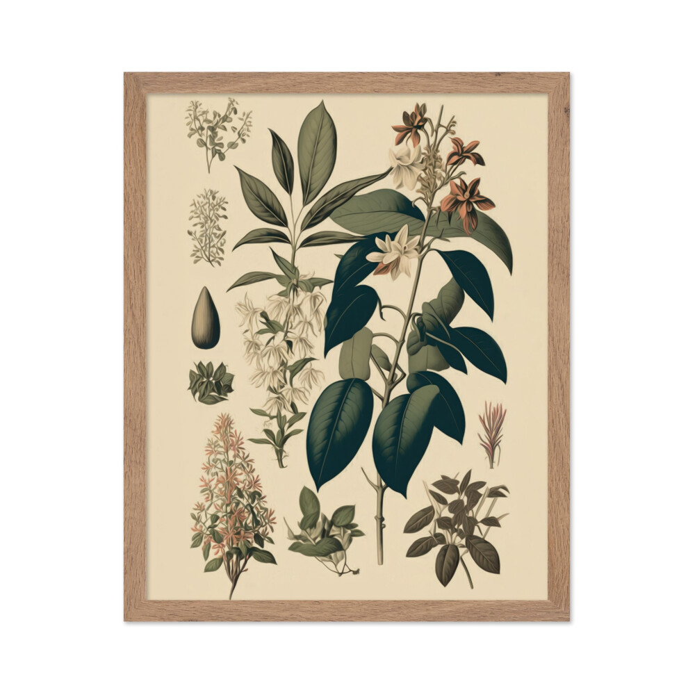 Poster Master - Affiche botanique vintage - Imprimé floral rétro - Cadeau pour jardinier - Orchidée, jasmin, bohème - Décoration murale pour mais