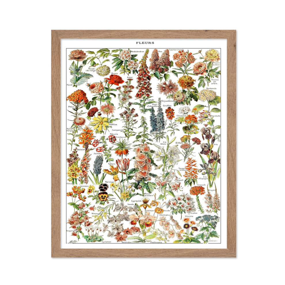 Poster Master Vintage Poster - Impression botanique r   tro - Cadeau pour ami jardinier - Fleurs assorties Jardin floral rustique - D   coration mura