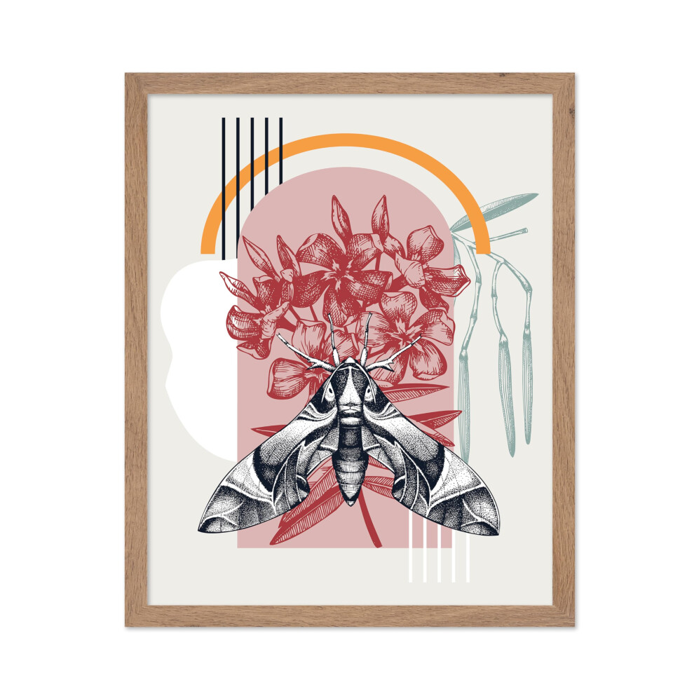 Poster Master Oleander Moth Poster - Oleander Moth sur une fleur Print - Flower & Moth Art - Cadeau pour lui ou son amoureux des animaux - D  coration