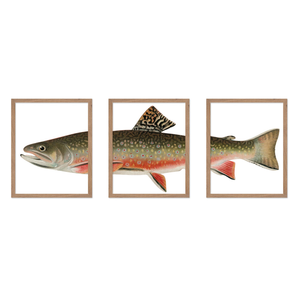 Poster Master 3-Czesciowy Plakat Z Ryba Pstragowa - Druk Wodny - Prezent Dla Przyjaciela Marynarza Rybaka - Pstrag Potok Ryba Z Jeziora Zycie Mor-image