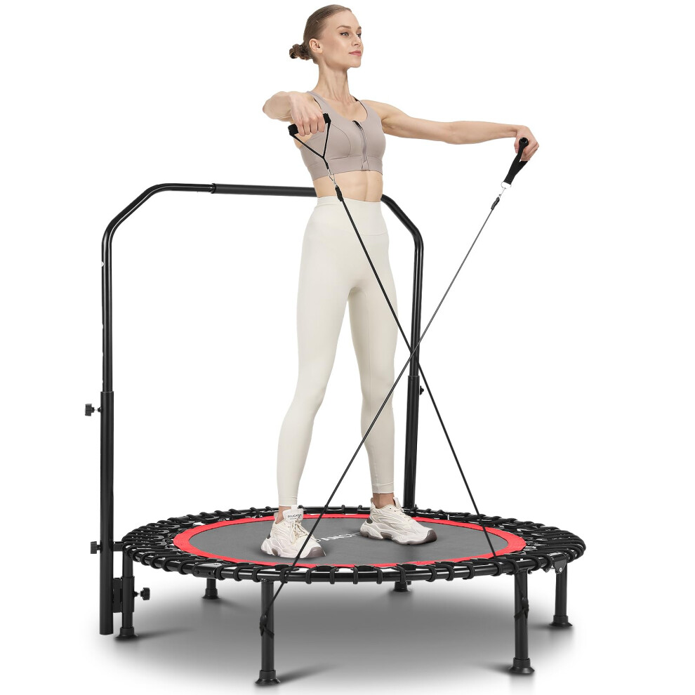 ANCHEER 40/48 Foldable Mini Trampoline 550LBS Max Load Rebounder Trampoline for Adults with Adjustale Foam Bar&Resistance Ropes Upgraded Bungee Cord