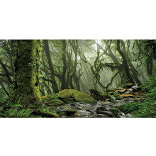 Awert Foggy Forest Terrarium Baggrundsstr?m Green K?mpe tr? Reptil Habitat Baggrund Tropisk regnskov Akvarium Baggrund 72x18 inches Holdbar polye