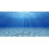 Awert Ocean Floor baggrund Unders? 1