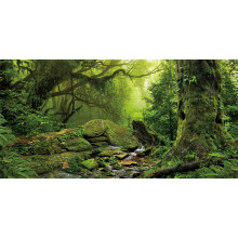AWERT trooppisen mets n terraarion tausta puron vihre valtava puu matelijan elinymp rist n tausta sumuinen sademets akvaario tausta 30x18 tuuma