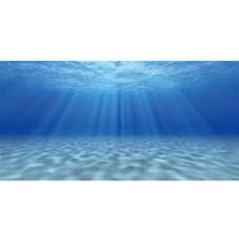 Awert Undersea Theme Aquarium Baggrund Sunshine Underwater World Fish Tank Baggrund 30x18 inches