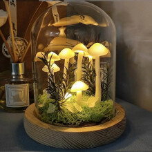 Small Mushroom Lamp Handmade Night Light Novelty Nightlight Project Arts and Crafts