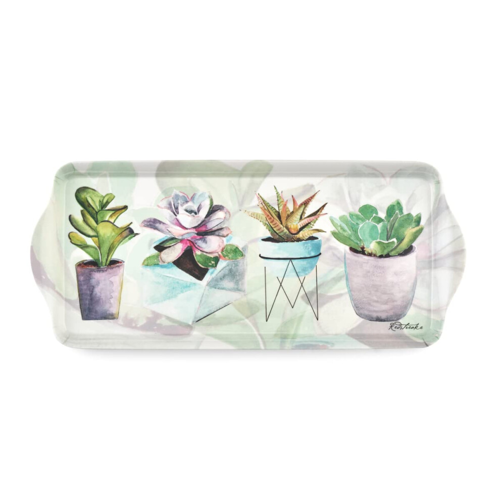 Pimpernel Succulents Collection Sandwich Tray | Serving Platter | Crudit? and Appetizer Tray for Indoor and Outdoor use | Made of Melamine | Measures