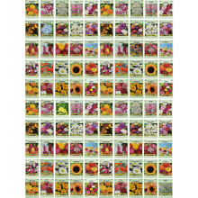 Set of 100 Assorted Valley green Flower Seed Packets Flower Seeds in Bulk - 20 Varieties Included