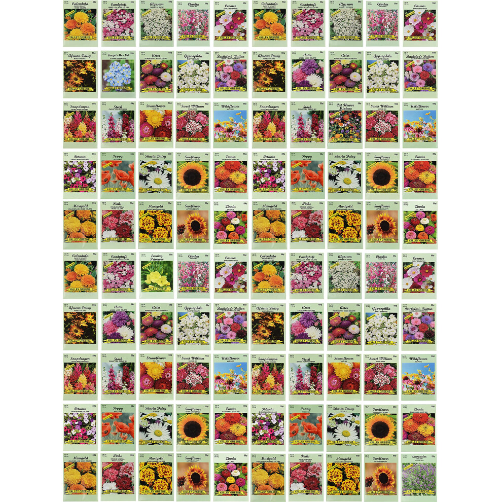 Dolie Greene Set Of 100 Assorted Valley Green Flower Seed Packets Flower Seeds In Bulk - 20 Varieties Included