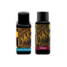 Diamine Fountain Pen Ink 30 ml Oxblood & Aurora Borealis - 2 Pack