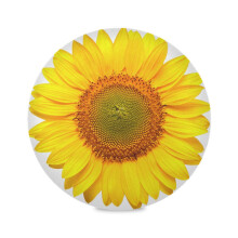 Qilmy Sunflower Round Placemats Non-Slip Washable Polyester Table Mats Set of 6 Heat Resistant Placemats for Kitchen Dining Table Decoration