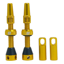 BWSHLF Golden Tubeless Presta Valve Stem 40 mm de 44 mm Super Light PRESTA PRESTA Kit de vlvula con herramienta de quema de ncleo de vlvula y tapa
