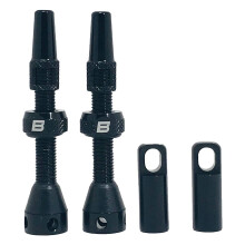 BWSHLF Black Tubceless Presta Valve Stem 40 mm / 44 mm Super Light PRESTA PRESTA Kit de vlvula con herramienta de quema de ncleo de vlvula y tapas