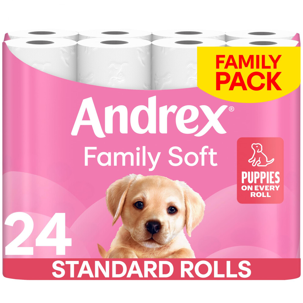 Andrex Family Soft Toilet Paper 24 Rolls (Previously Andrex Gentle Clean) Gentle on your Family's skin– Pack of 24 Toilet Rolls, FSC Certified