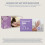 by Amazon - Disposable Vinyl Gloves, Size M, Pack of 100 2