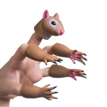 AQKILO Squirrel Finger Puppet Set  Animals Puppet Show Theater Props  Novelty Toys Weird Stuff Gifts