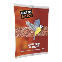 Extra Select Whole Peanuts for Wild Birds: Wild Bird Food Peanuts & Squirrel Food - 3kg Bag