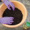 Miracle-Gro Miracle-Gro Continuous Release All Purpose Plant Food, 900G, White 5