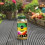 Miracle-Gro Miracle-Gro Continuous Release All Purpose Plant Food, 900G, White 2
