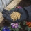 Miracle-Gro Miracle-Gro Continuous Release All Purpose Plant Food, 900G, White 3